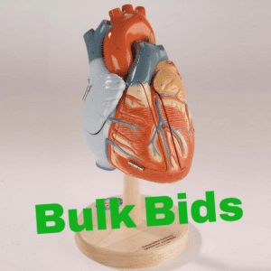 Bulk Bid Lots of Denoyer Geppert Co
